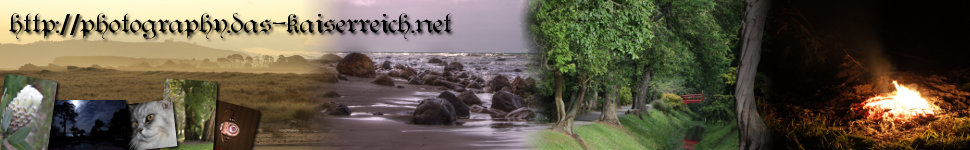 Photography banner image